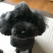 sanaの画像