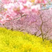 えれたん