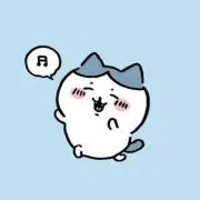 ねこちーの画像