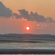 SIMAの画像