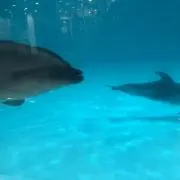hanaの画像