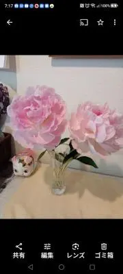 クンクンの画像