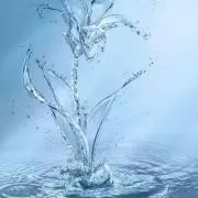 断捨離中（引っ越しの 準備）