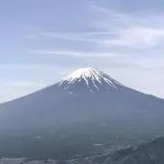ミミの画像