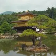 koukiの画像