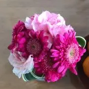 むしこ