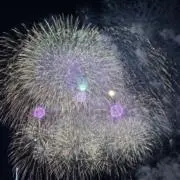 ルイ　セール中の画像
