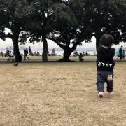 チルハラの画像