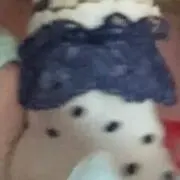 にゃんこ☆