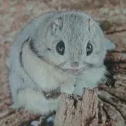 Yu-(*^^*)