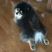 くちこさんの画像