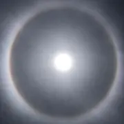 ドナルドタカヤマ ファンボードホワイト/レッド週末値下げ50000〜45000