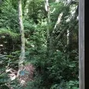 minimamuの画像