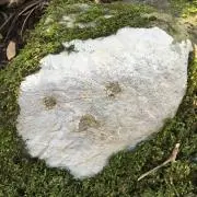 たたみの画像