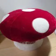 きのこの画像