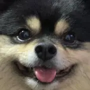 あむ