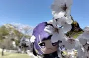 ゆうき