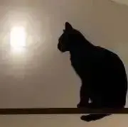 sの画像