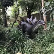 happyの画像