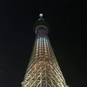 ちむの画像