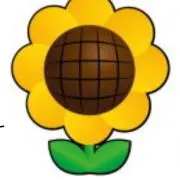 ひまわりsunサンの画像