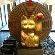 ココの画像