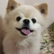 coco⭐️即購入OK★の画像