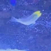 ちるたん。日々値下げ更新多の画像