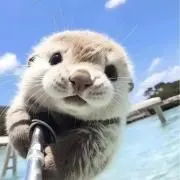 ネックス