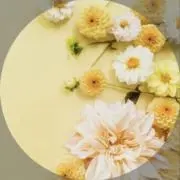 DAISY