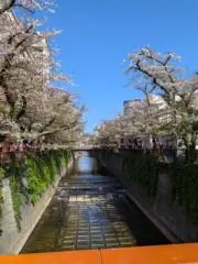 しゅうの画像