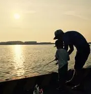 TNK2の画像