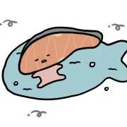 肩の画像