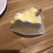 ゾウの画像