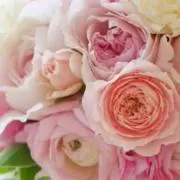 ゆの♡プロフを必ずご覧ください