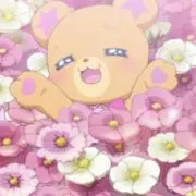 ﾙﾅの画像