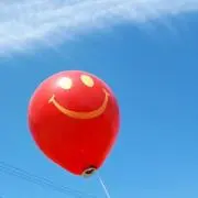 陽丸の画像