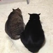 ぴーなっつ☆