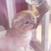 KxxK