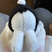 もぴ(⚠️購入前プロフご一読ください)の画像