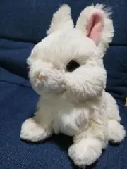 ★ミル★即購入OKの画像