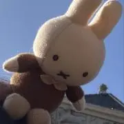 sakuraの画像