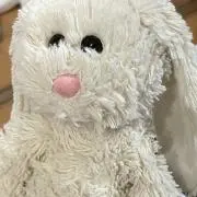 Piariの画像