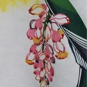 nanana14230の画像