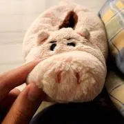 さかなかなかな