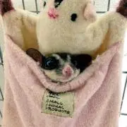 えり