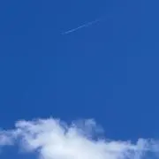 sarapiの画像