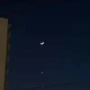 にん