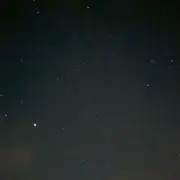 とらおの画像