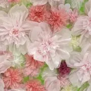 ririna★フォロー割◎値段交渉◎の画像